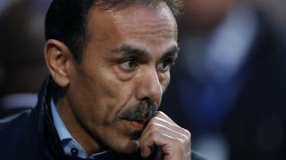 Jos Luhukay Sheffield Wednesday manager